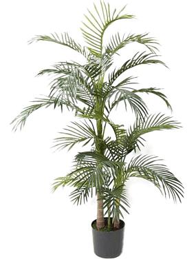 Пальма Арека искусственная