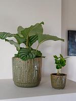 Кашпо Cille pot forest D19 H17 см