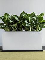 Кашпо Fiberstone jumbo jort l glossy white L120 W45 H60 см