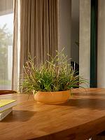 Кашпо Jazz bowl amber yellow D28 H9 см