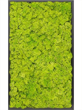 Картина из мха mdf ral 9005 satin gloss 100% reindeer moss (spring green) Картина из мха mdf ral 9005 satin gloss 100% reindeer moss (spring green)