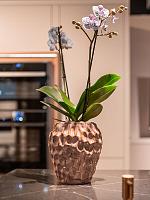 Ваза Rachel pot tall mauve D26 H28 см Ваза Rachel pot tall mauve D26 H28 см