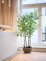 Кашпо Mountain francis xs dioriet grey D46 H24 см