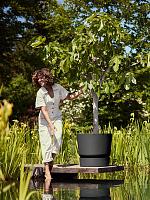 Кашпо с поддоном Greenville round living black D55 H50 см