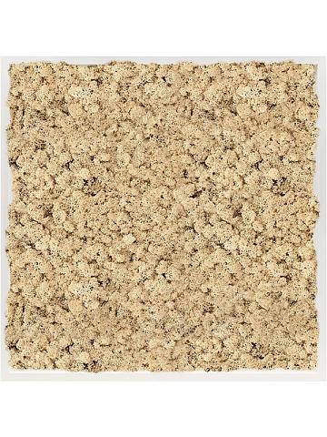 Картина из мха mdf ral 9010 satin gloss 100% reindeer moss (natural) Картина из мха mdf ral 9010 satin gloss 100% reindeer moss (natural)