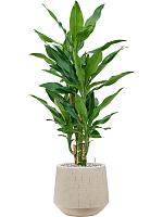 Кашпо Baq raindrop darcy beige D30 H26 см