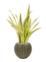 Кашпо Capi nature groove special vase ball green D30 H25 см Кашпо Capi nature groove special vase ball green D30 H25 см