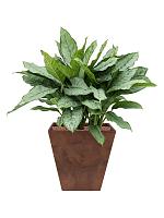 Кашпо Artstone ella pot oak L40 W40 H40 см