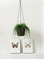 Кашпо подвесное Brussels® hanging basket anthracite D22 H18 см Кашпо подвесное Brussels® hanging basket anthracite D22 H18 см