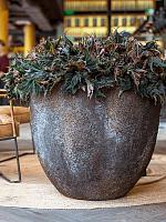 Кашпо Oyster jesslyn m imperial brown D60 H52 см