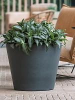 Кашпо Refined bucket s pine green D50 H40 см Кашпо Refined bucket s pine green D50 H40 см