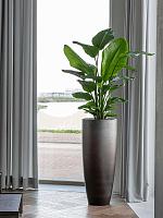 Кашпо Baq gradient partner matt coffee (с техническим горшком) D40 H95 см