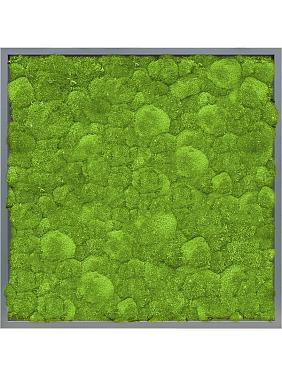 Картина из мха mdf ral 7016 satin gloss 100% ball moss Картина из мха mdf ral 7016 satin gloss 100% ball moss