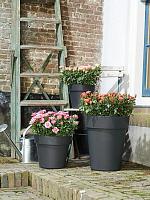 Кашпо Green basics top planter living black D23 H20 см