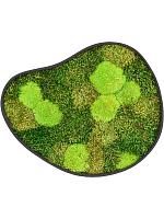 Картина из мха organic frame #3 earth mos (mix) L50 W43 H5 см