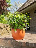 Кашпо Tiny pot orange (набор 4 шт) D37 H26 см