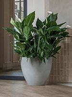 Кашпо Refined jesslyn s clouded grey D50 H44 см