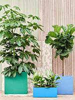 Кашпо B-straight rectangle L80 W30 H40 см Кашпо B-straight rectangle L80 W30 H40 см