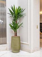 Кашпо Baq dune partner green D25 H40 см Кашпо Baq dune partner green D25 H40 см