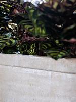 Кашпо John planter concrete L44 W15 H45 см