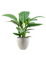 Кашпо Grigio egg pot antique white D32 H29 см