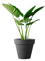 Кашпо Pure® round anthracite D98 H89 см