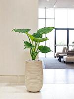 Кашпо Baq dune partner beige D25 H40 см Кашпо Baq dune partner beige D25 H40 см