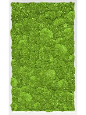 Картина из мха mdf ral 9010 satin gloss 100% ball moss Картина из мха mdf ral 9010 satin gloss 100% ball moss