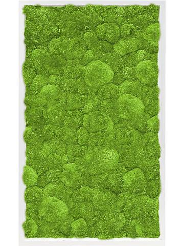 Картина из мха mdf ral 9010 satin gloss 100% ball moss Картина из мха mdf ral 9010 satin gloss 100% ball moss