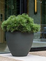 Кашпо Refined jesslyn s pine green D50 H44 см Кашпо Refined jesslyn s pine green D50 H44 см