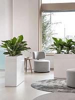 Кашпо Baq line-up rectangle matt white (с техническим горшком и подставкой на колесиках) L74 W38 H75 см