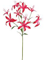 Ликорис лучистый искусственный H90 см