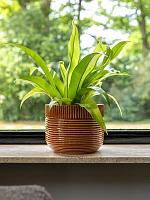 Кашпо Nona pot horizon D17 H15 см