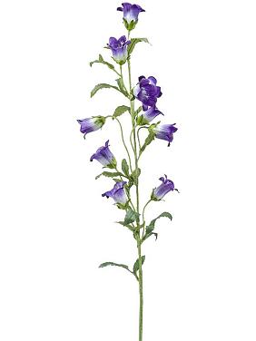 Кампанула фиолетовая искусственная Кампанула фиолетовая искусственная
