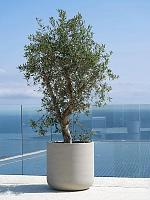 Кашпо Urban jumbo charlie m beige washed D84 H81 см