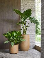 Кашпо Baq dune cylinder brown beige D38 H37 см Кашпо Baq dune cylinder brown beige D38 H37 см