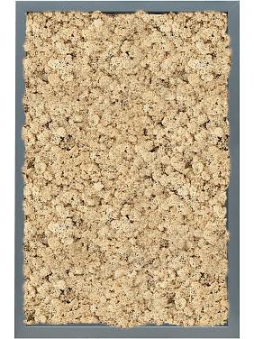 Картина из мха mdf ral 7016 satin gloss 100% reindeer (natural) Картина из мха mdf ral 7016 satin gloss 100% reindeer (natural)