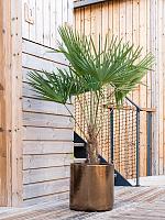 Кашпо Cylinder pot gold D30 H30 см