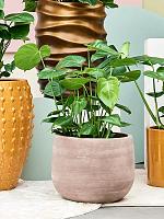 Кашпо Terra cotta omar pot choco D38 H34 см Кашпо Terra cotta omar pot choco D38 H34 см