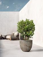 Кашпо Baq sandora couple green D36 H34 см