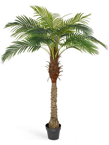 Финиковая пальма искусственная