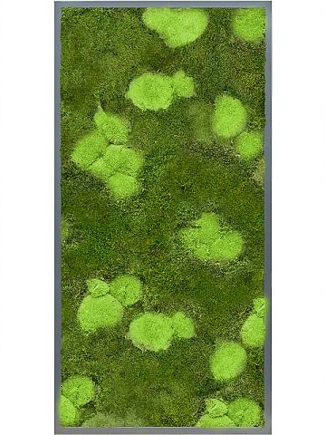 Картина из мха mdf ral 7016 satin gloss 30% ball- and 70% flat moss Картина из мха mdf ral 7016 satin gloss 30% ball- and 70% flat moss