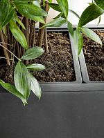 Кашпо Baq basic rectangle dark grey (mit einsatz) L110 W40 H70 см