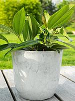 Кашпо Palermo pot marble cloud D30 H28 см Кашпо Palermo pot marble cloud D30 H28 см