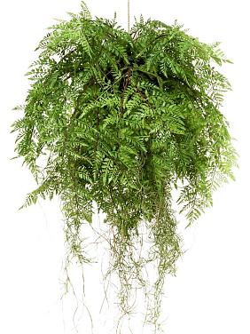 Папоротник Даваллия ампельный искусственный