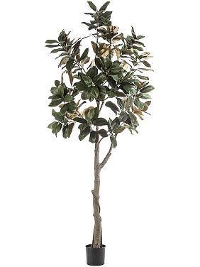 Магнолия искусственная Магнолия искусственная