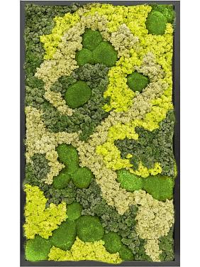 Картина из мха mdf ral 9005 satin gloss 30% ball moss 70% reindeer moss (mix) Картина из мха mdf ral 9005 satin gloss 30% ball moss 70% reindeer moss (mix)