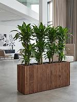 Кашпо Baq radia rectangle natural (с техническим горшком) L141 W38 H75 см