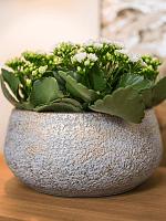 Кашпо Noor bowl metallic grey D28 H13 см