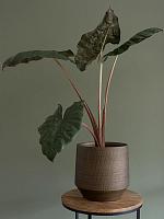 Кашпо Norell pot chestnut D15 H13 см